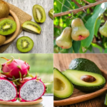 A Complete Guide on Exotic fruits in summer