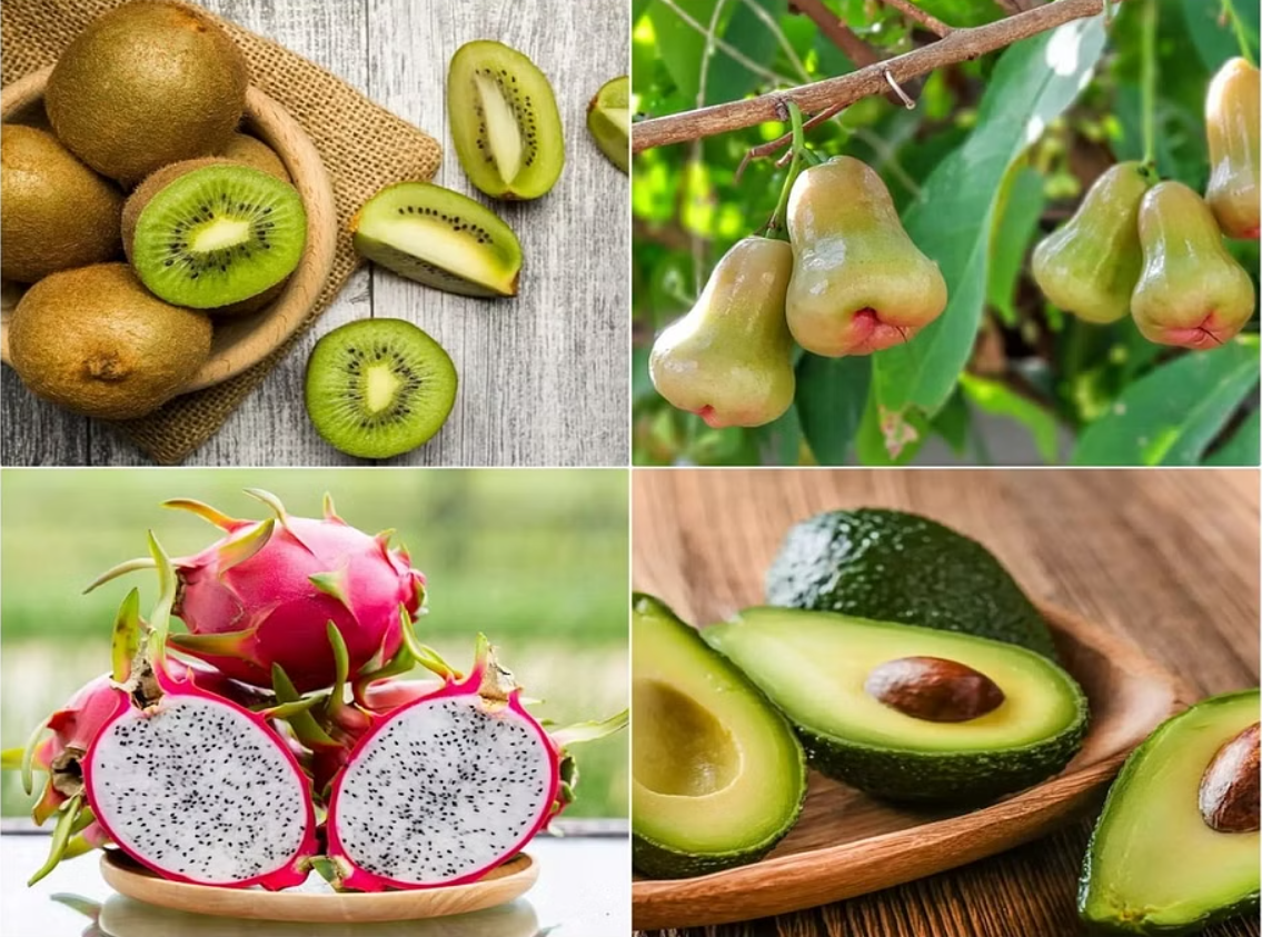 A Complete Guide on Exotic fruits in summer