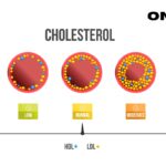 manage your cholesterol levels