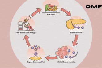 Which one releases more Insulin in the body?