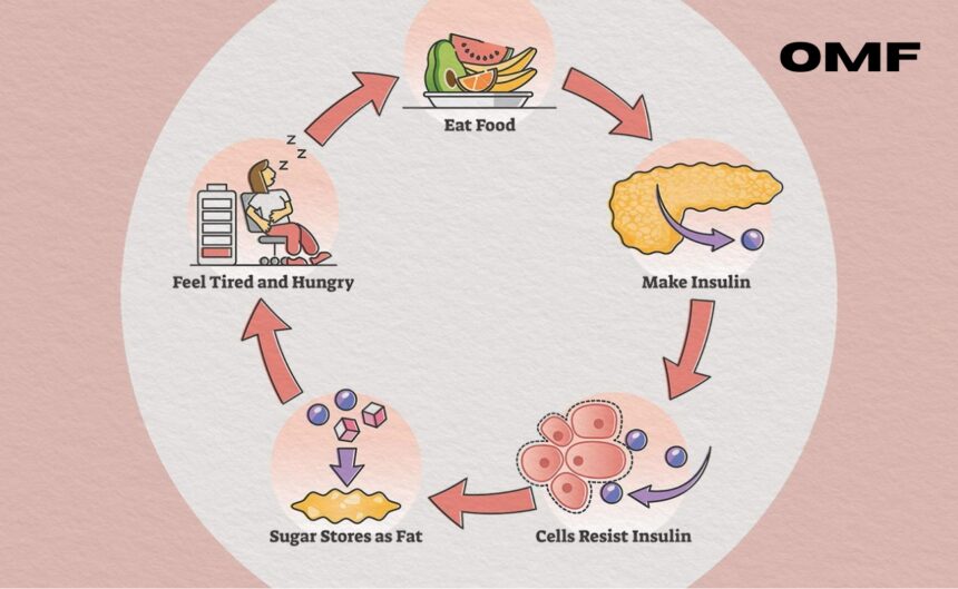 Which one releases more Insulin in the body?