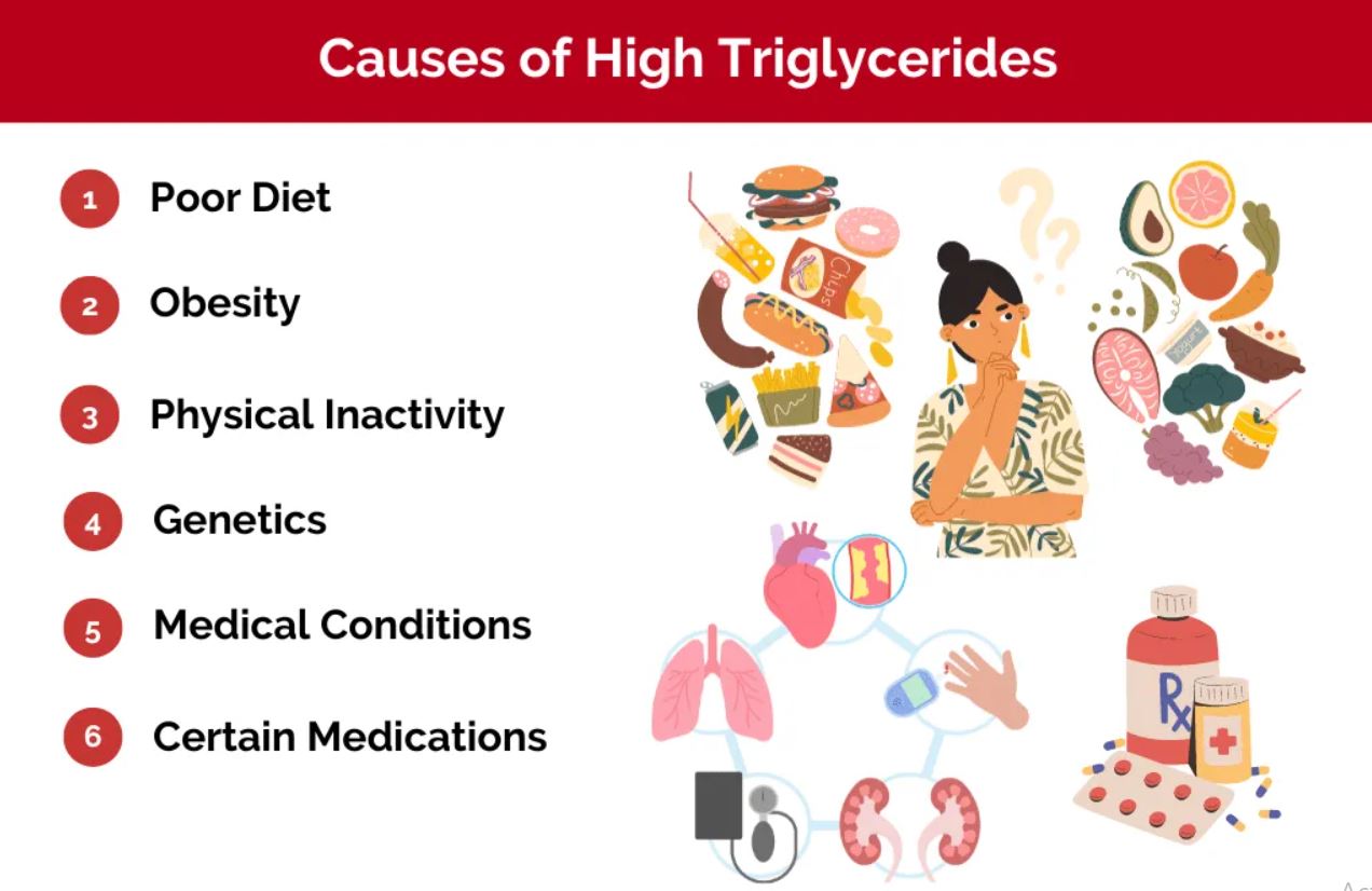 triglyceride reviews