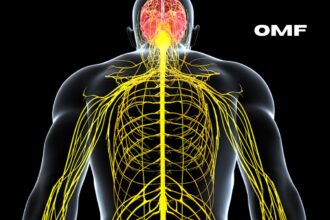 peripheral neuropathy