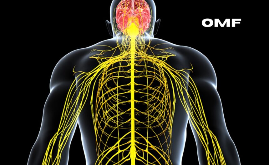 peripheral neuropathy